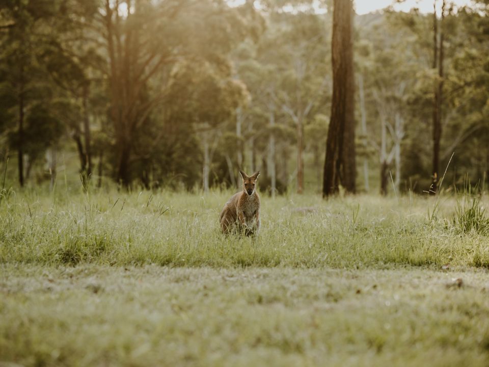 Story image 8